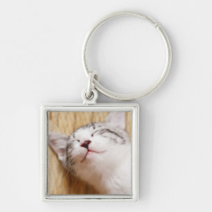 Chaveiro Gatinho do sono