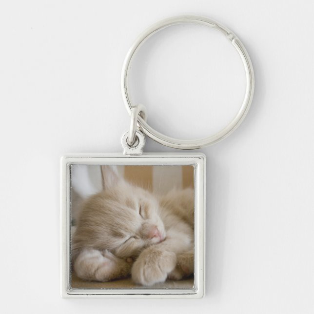 Chaveiro Gatinho do sono (Frente)