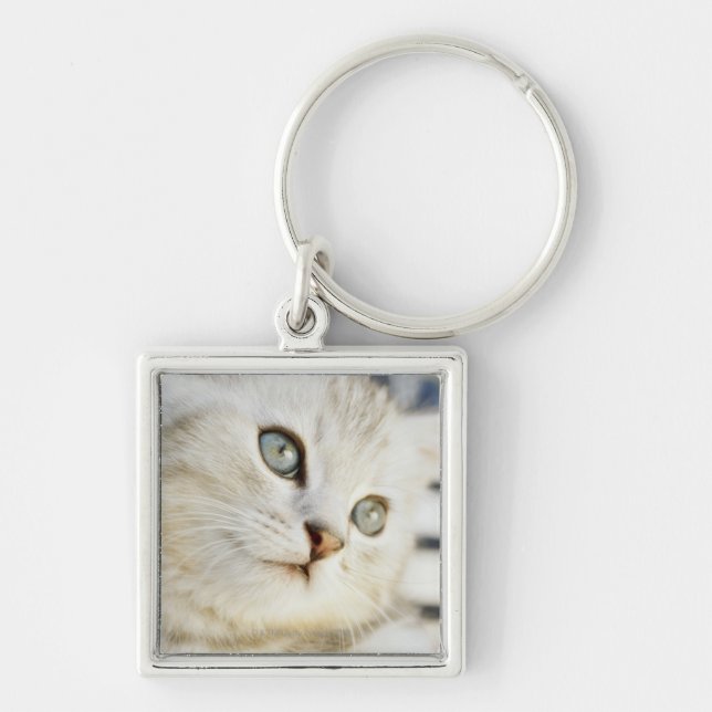 Chaveiro Gatinho, fim-acima 2 (Frente)