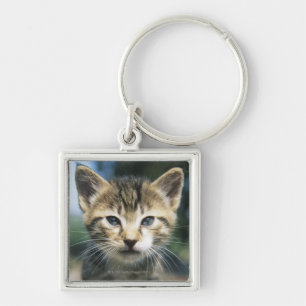 Chaveiro Gatinho fora
