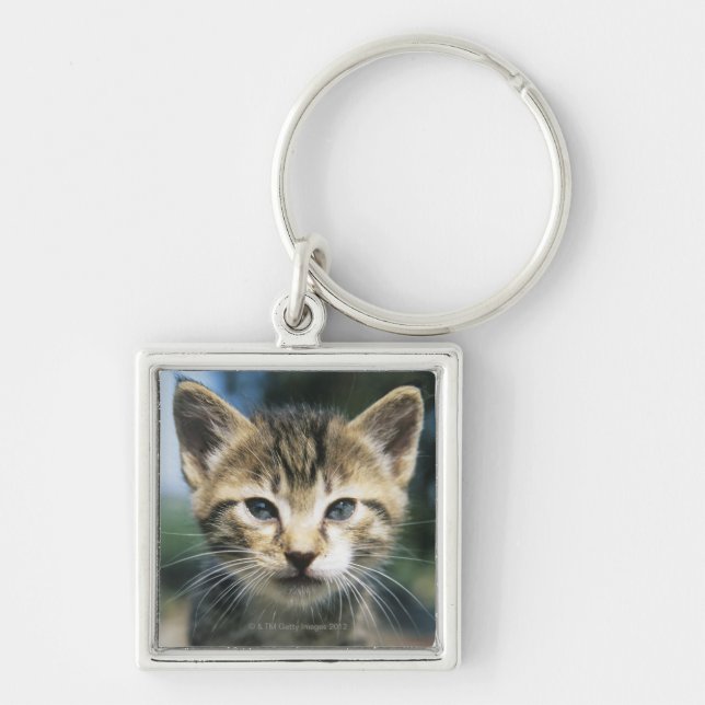 Chaveiro Gatinho fora (Frente)