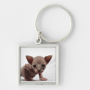 Chaveiro Gatinho Furless bonito Freaky de Sphynx
