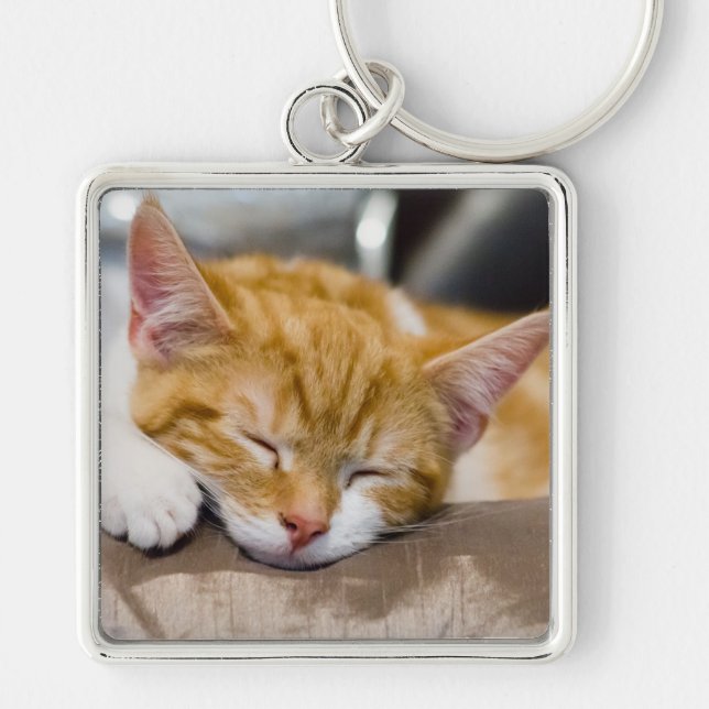 Chaveiro Gatinho Gato (Frente)