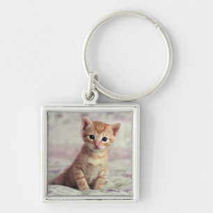 Chaveiro Gatinho minúsculo do gengibre