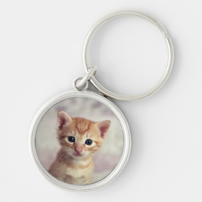 Chaveiro Gatinho minúsculo do gengibre (Frente)