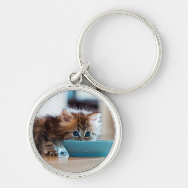 Chaveiro Gatinho persa novo (Frente)