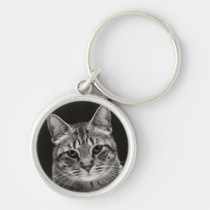 Chaveiro Gatinho preto do gato malhado