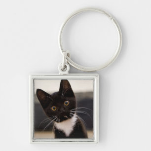 Chaveiro Gatinho preto e branco bonito do smoking