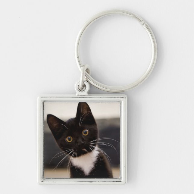 Chaveiro Gatinho preto e branco bonito do smoking (Frente)