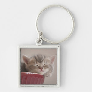Chaveiro Gatinho que dorme em uma bacia