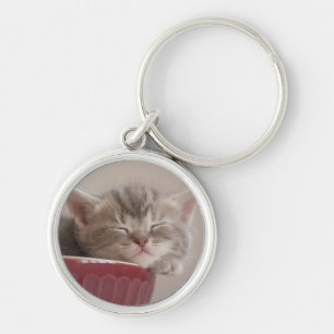 Chaveiro Gatinho que dorme em uma bacia