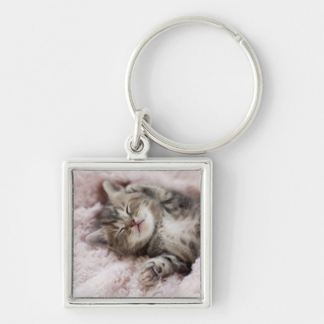 Chaveiro Gatinho que dorme na toalha (Frente)
