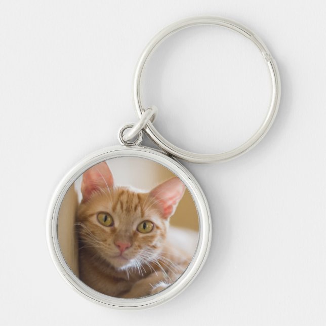 Chaveiro Gatinho que encontra-se no sofá (Frente)