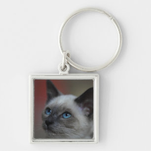 Chaveiro Gatinho Siamese