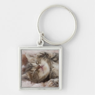 Chaveiro Gatinho sonolento