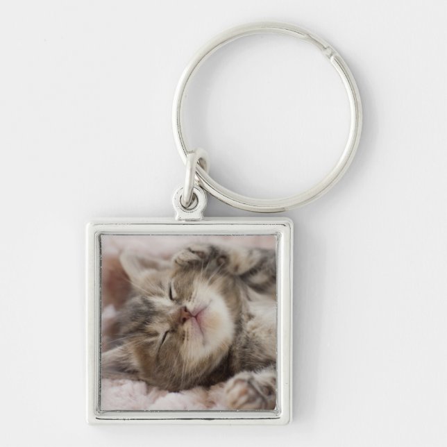 Chaveiro Gatinho sonolento (Frente)
