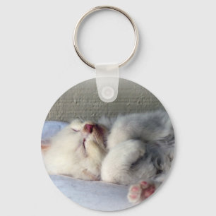 Chaveiro Gatinho Sonolento