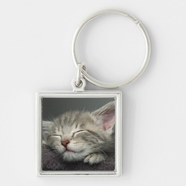 Chaveiro Gatinho sonolento (Frente)