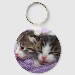 Chaveiro Gatinhos com sono
