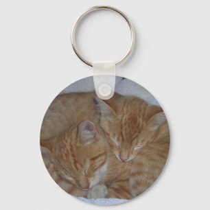 Chaveiro Gatinhos com sono