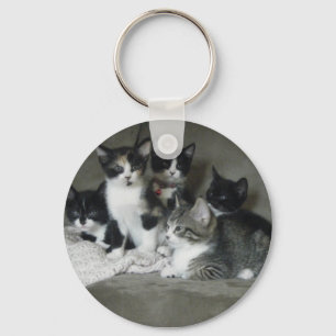 Chaveiro Gatinhos demasiado bonitos