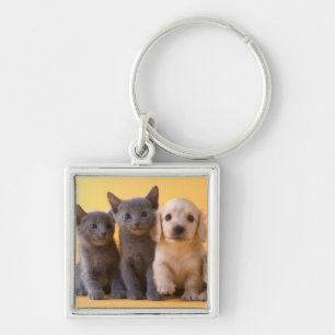 Chaveiro Gatinhos do russo e filhotes de cachorro azuis do