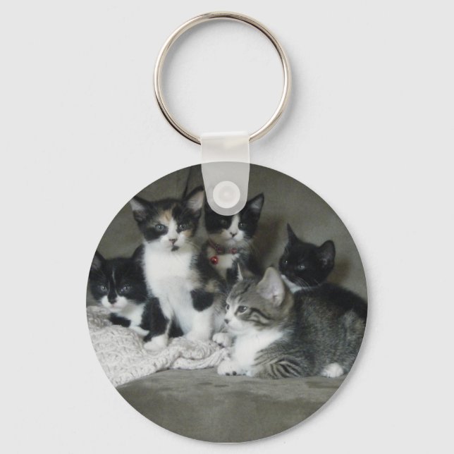 Chaveiro Gatinhos Muito Bonitos (Frente)