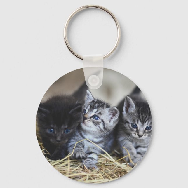Chaveiro Gatinhos, Pet, Felines (Frente)