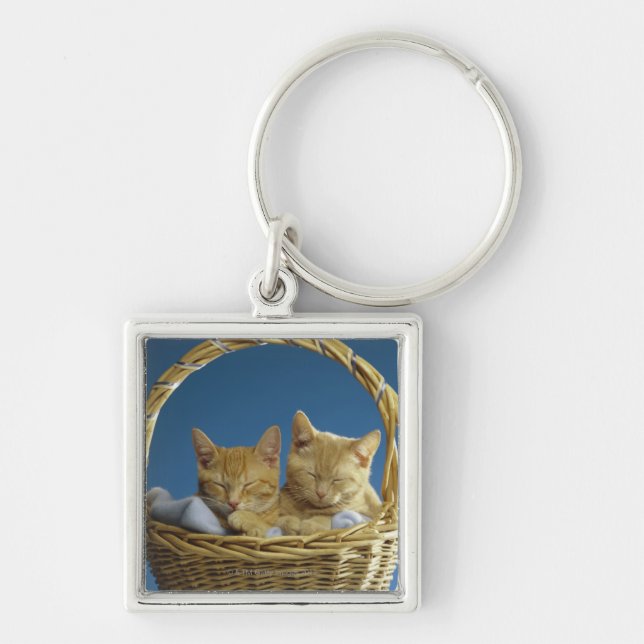 Chaveiro Gatinhos que dormem na cesta (Frente)