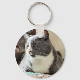 Chaveiro Gato