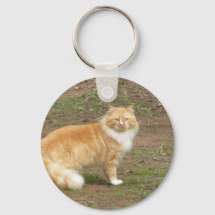 Chaveiro Gato alaranjado e branco peludo