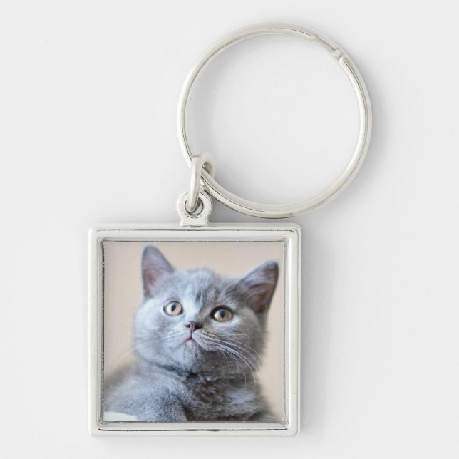 Chaveiro Gato britânico cinzento de Shorthair (Frente)