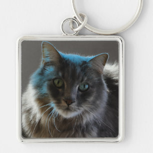 Chaveiro Gato Cinza de Cabelo Comprido Majestoso Willy Boy