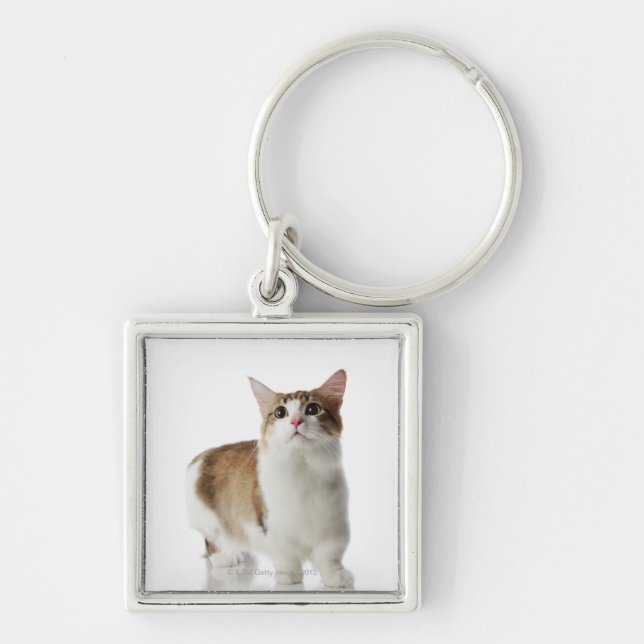 Chaveiro Gato com pés curtos (Frente)