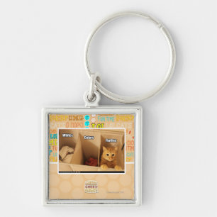 Chaveiro Gato da lavanderia