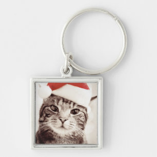 Chaveiro Gato de gato malhado doméstico que veste o chapé