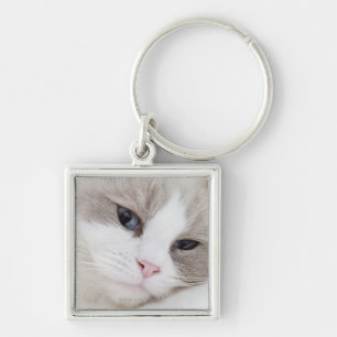 Chaveiro Gato de Ragdoll