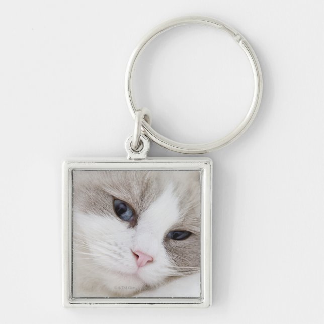 Chaveiro Gato de Ragdoll (Frente)