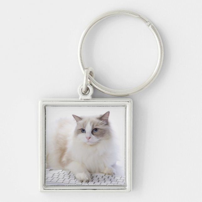 Chaveiro Gato de Ragdoll no teclado (Frente)