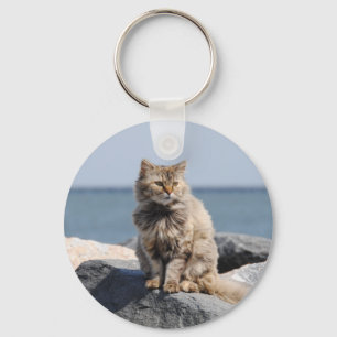 Chaveiro Gato Desgrenhado pelo Mar Foto Fofa
