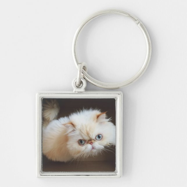 Chaveiro Gato em uma caixa (Frente)