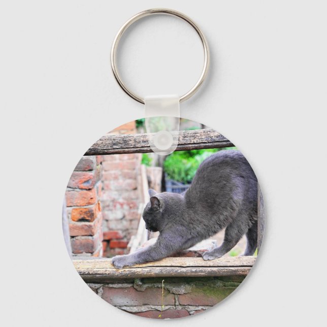 Chaveiro Gato engraçado se esticando (Frente)