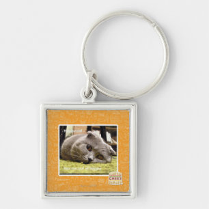 Chaveiro Gato feliz, fora de feliz