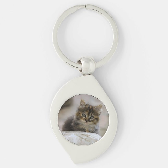 Chaveiro Gato, Gato Doméstico, Animal (Frente)