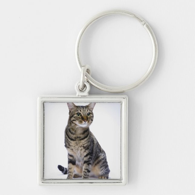 Chaveiro Gato japonês no fundo branco (Frente)