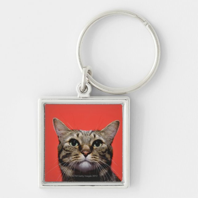 Chaveiro Gato japonês que olha acima (Frente)