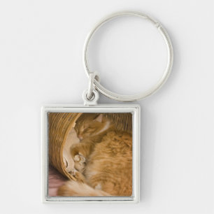Chaveiro Gato laranja dormindo na cesta