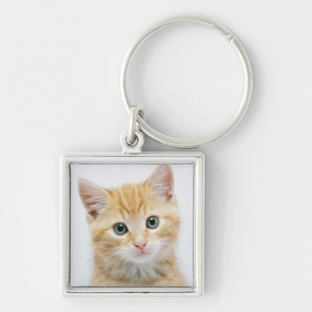 Chaveiro Gato malhado da laranja doce (Frente)
