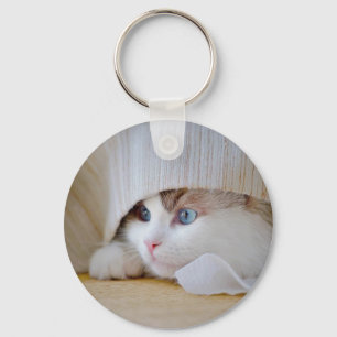 Chaveiro Gato, Natureza, Gatinho