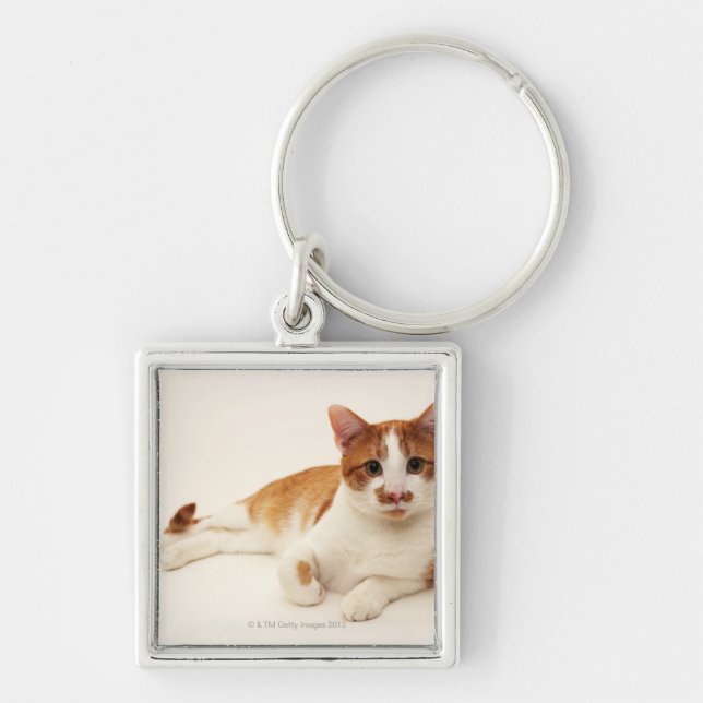 Chaveiro Gato no fundo branco (Frente)